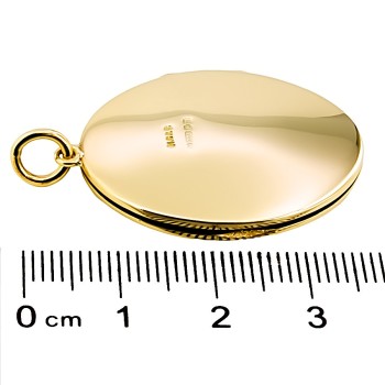 9ct gold 8.3g Locket